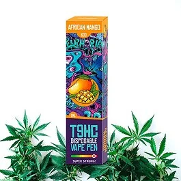 Euphoria Disposable Vape Pen T9HC African Mango Einweg E-Zigarette mit fruchtigem Mango-Geschmack