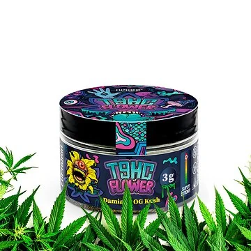 Euphoria T9HC Flowers Herbal Mix Damiana OG Kush 3 g Beutel mit feingemahlenen Kräutern
