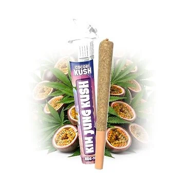 preroll-kim-jung-ok.jpg