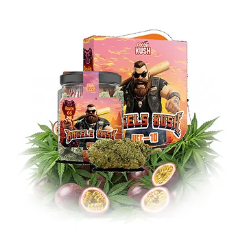 cocori-kush-angels-kush-v5.png