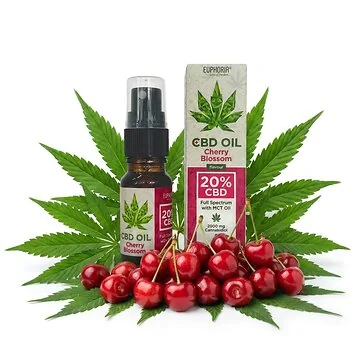 Euphoria 20% CBD Öl Cherry Blossom in dunkler Glasflasche mit Tropfspender