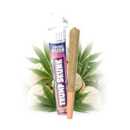 preroll-trump-ok.jpg