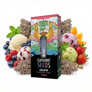 Euphoria Gelato Autoflower-Hanfsamen Verpackung und Samen auf neutralem Hintergrund