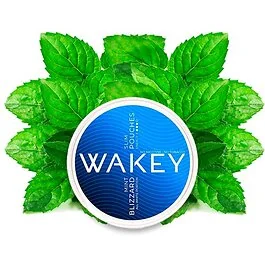 Wakey Blizzard Mint nikotinfreie Koffein Pouches in der Dose für intensiven Minz Geschmack