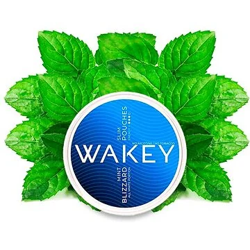Wakey Blizzard Mint nikotinfreie Koffein Pouches in der Dose für intensiven Minz Geschmack