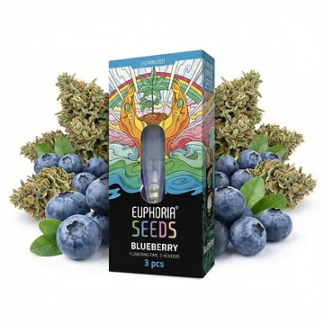 Euphoria Blaubeerfeminisierte Cannabissamen Premium Hanfsamen Verpackung