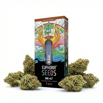 Euphoria AK470 Autoflower-Hanfsamen Verpackung mit drei robusten Cannabis-Samen
