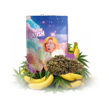 cocori-kush-lady-banana-v5.png