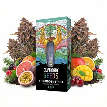 Euphoria Forbidden Fruit feminisierte Cannabissamen Verpackung mit Verpackungsdesign und Produktnamen