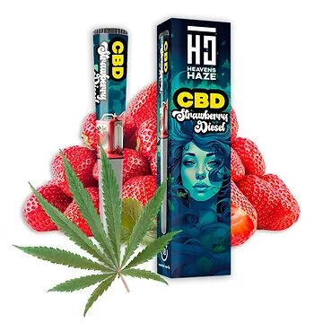 HEAVENS HAZE CBD Strawberry Diesel Pre-Rolled Joint in luftdichter Schutzröhre auf neutralem Hintergrund