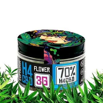 Euphoria 70 Prozent H4CBD Flowers Space Rock 3g feste Blüte mit harziger Kristallschicht