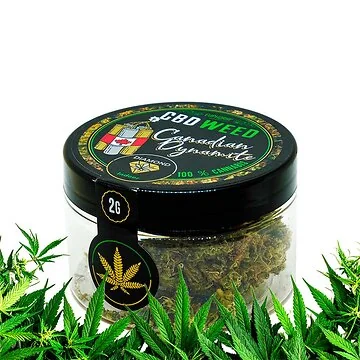 Dichte grüne Euphoria Canadian Dynamite CBD-Blüten in der 2 g Packung
