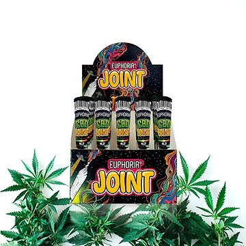 Euphoria CBD Pre-Rolled Joint Verkaufsdisplay mit einzeln verpackten Hanf-Pre-Rolls