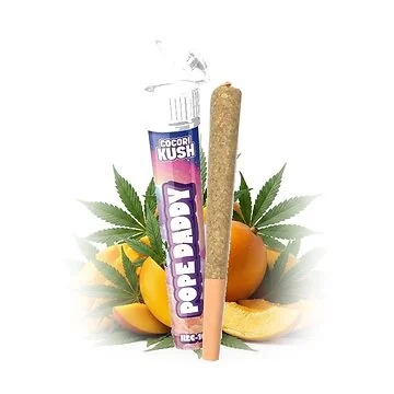 preroll-pope-daddy-ok.jpg