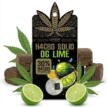 Euphoria 30% H4CBD Solid OG Lime - Feste H4CBD-Platte mit spritzigem Limetten-Aroma