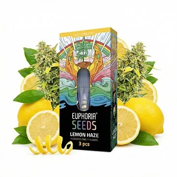 Euphoria Lemon Haze Autoflower-Hanfsamen Verpackung mit Hanfblatt Design