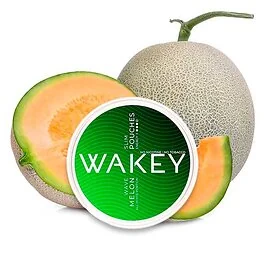 Wakey Melon Wave Dose mit nikotinfreien Koffein-Pouches im fruchtigen Wassermelonen-Design
