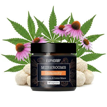 Euphoria Mushrooms Immunity Blend Echinacea und Lions Mane Packung