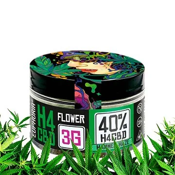 Euphoria 40 Prozent H4CBD Flowers Hammer Haze 3g Dose mit getrockneten Aromablüten