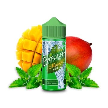 Evergreen Mango Mint Aroma 